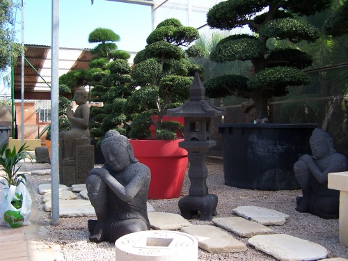 Bonsai Composición Buda - Natura Garden