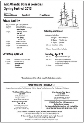 Bonsai MidAtlantic Bonsai Societies Spring Festival 2013 - eventos