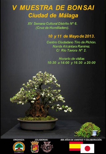 Bonsai V Muestra de Bonsai Ciudad de Málaga - eventos