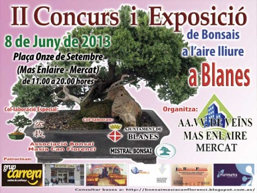 Bonsai II Concurs i Exposició a Blanes - eventos