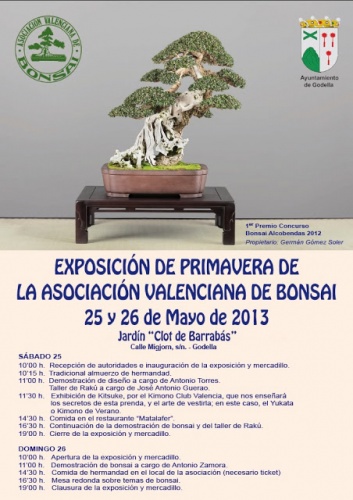 Bonsai Asociación Valenciana de Bonsái - Exposición de Primavera - eventos