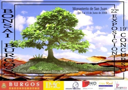 Cartel 22 Exposicion y 19 Concurso Bonsai Burgos