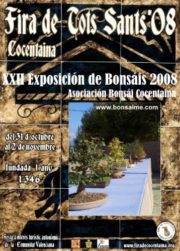 Cartel Exposicion Cocentaina 2008