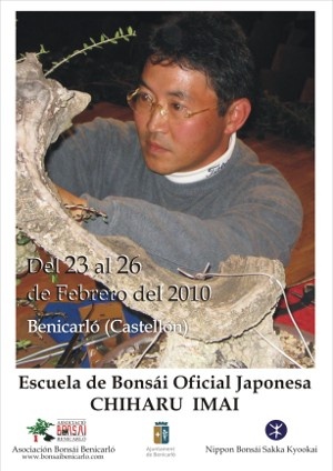 Cartel Escuela de bonsai oficial japonesa Chiharu Imai