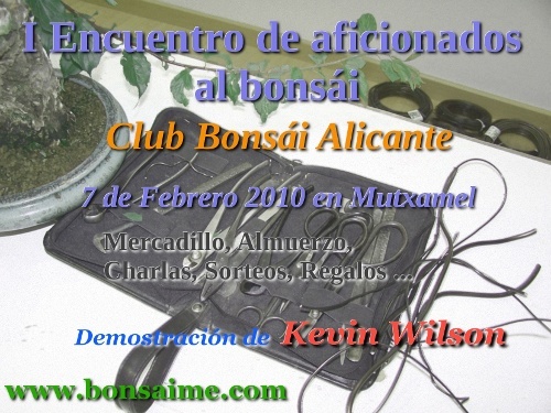 Bonsai I Encuentro de aficionados al bonsai - Club Bonsai Alicante - eventos