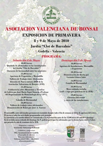 Cartel Asociacion Valenciana de Bonsai - Exposicion de Primavera