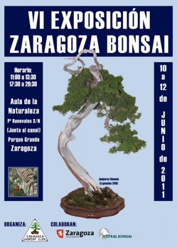 Cartel VI Exposicion Zaragoza Bonsai