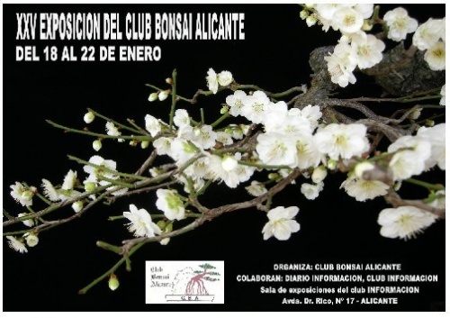 Bonsai Alicante - eventos