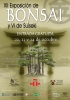 Cartel Exposicion de Bonsai y Suiseki en Alcala de Henares